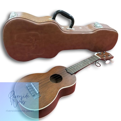 Lanikai ukulele beginner - lanikai,