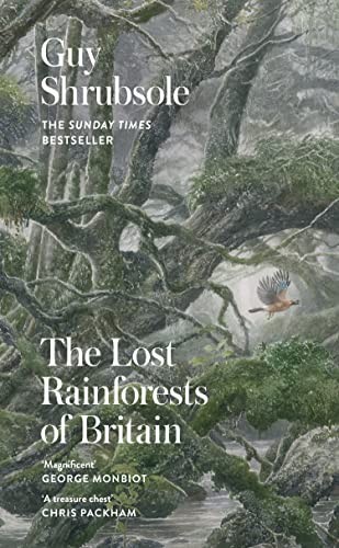 The lost rainforests - lost, of