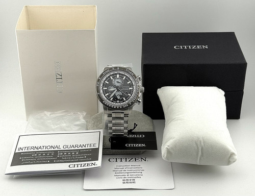 Citizen promaster air geo - promaster,