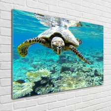 Acrylic glass picture wall art