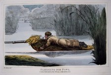 SLEDGE  SHOOTING  GENUINE