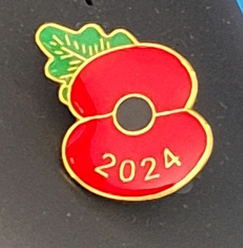 Poppy 2024 remembrance - ,