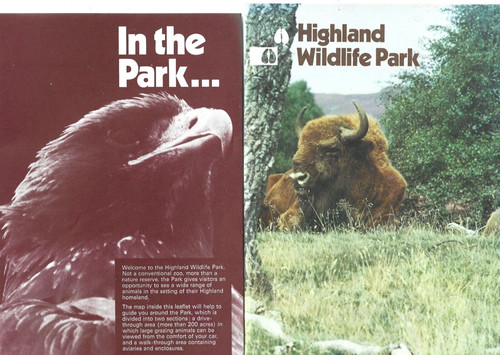 Highland wildlife park - highland,