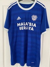 Cardiff City Home Football