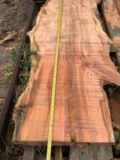English yew boards wood - yew,