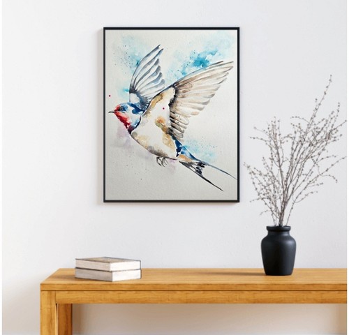 Original swallow bird - swallow,