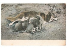 Early 1900s Antique Photo