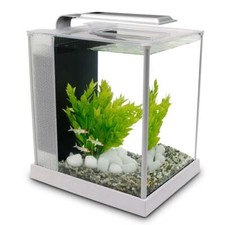 Fluval Spec Aquarium Fish Tank 10L | LED Lighting | 30 x 27.5 x 22.3cm | White
