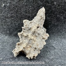 Crystal fulgurite (petrified
