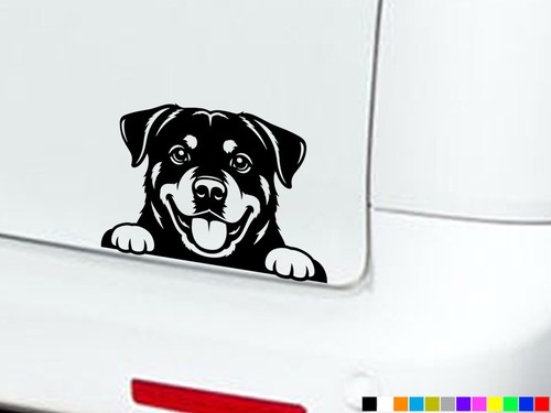 Rottweiler peeking dog eyes - rottweiler,