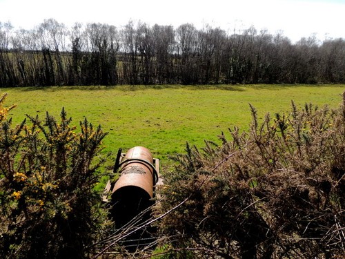Photo 6x4 roller field - roller, a