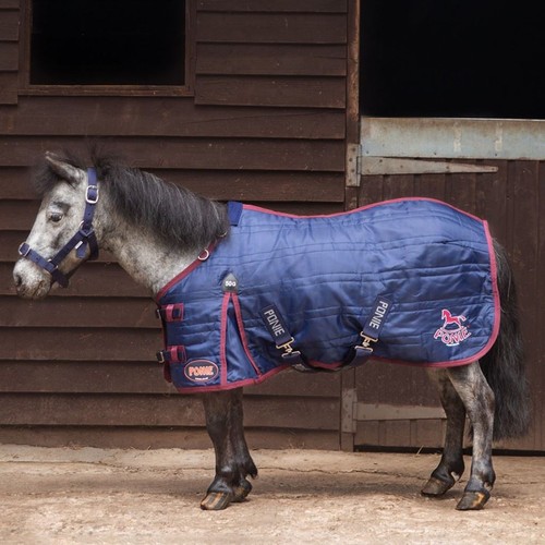 Gallop equestrian ponie 50g - equestrian,