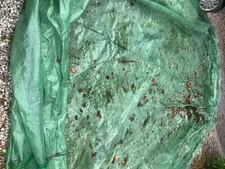 greenhouse/ polytunnel cover 19 feet by 18feet approx