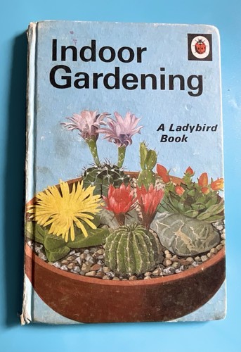 Ladybird book indoor - ladybird,