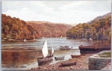 Dittisham Vintage Postcard