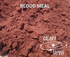 Carp Fishing Boilie Making