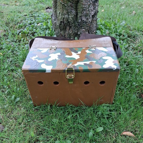 Ferret bow back painted fancy - ferret,