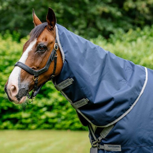 Horseware amigo bravo - amigo,