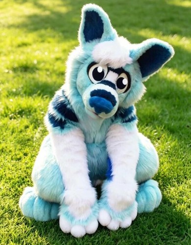 Long fur husky dog fox - long,