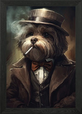 Havanese Dog The Gangster