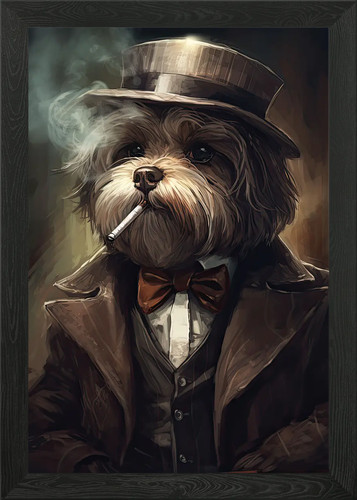 Havanese dog the - havanese, gangster