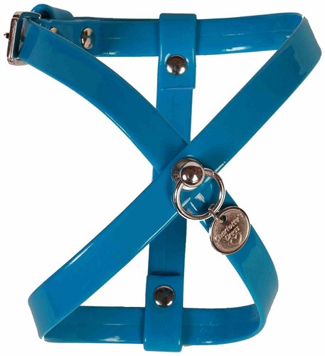 Charlottes dress designer - , dog