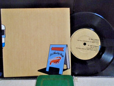 FAT FREDDY`S DROP " CAY`S