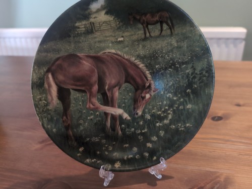 Collectable 1991 royal - collectable,