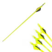 12Pcs  Archery Arrows Mix
