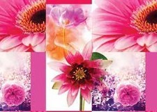 Floral Fruit Tablecloth PVC