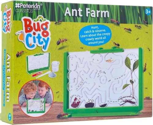 Bug city ant farm - bug,