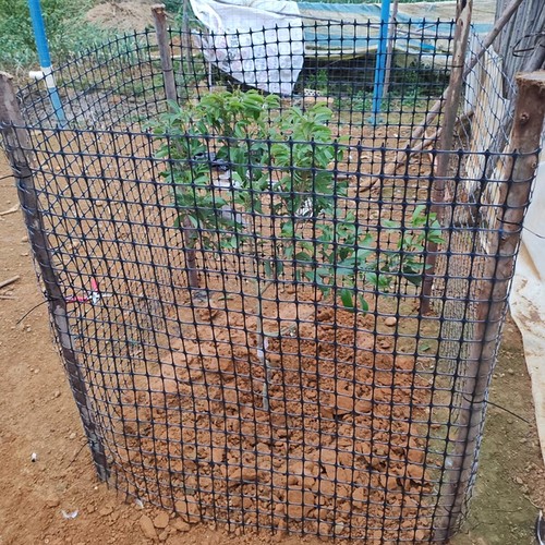 Pvc coated black chicken - black,