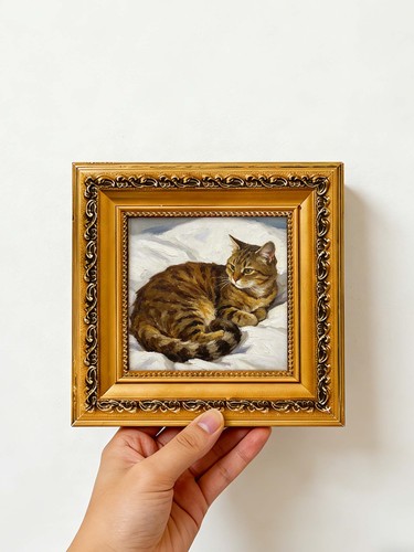 Fluffy tabby cat resting soft - tabby,