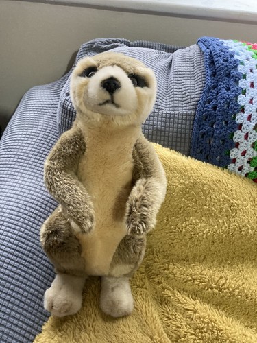 Meerkat plush teddy - meerkat, chester