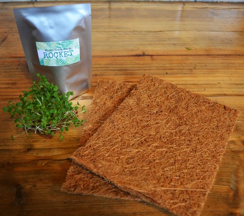 Microgreen coconut husk - microgreen,