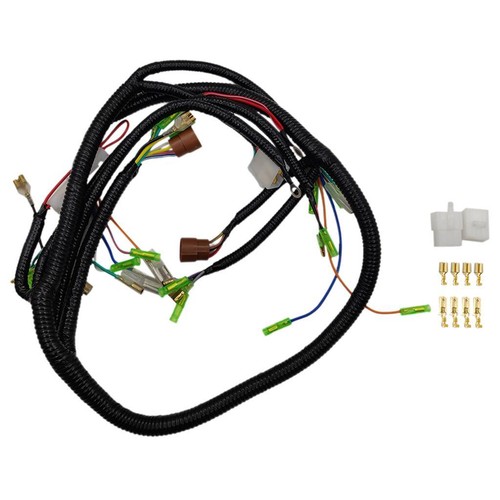 Main wiring harness - main,