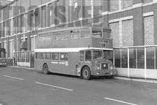 35mm Black and White Negative