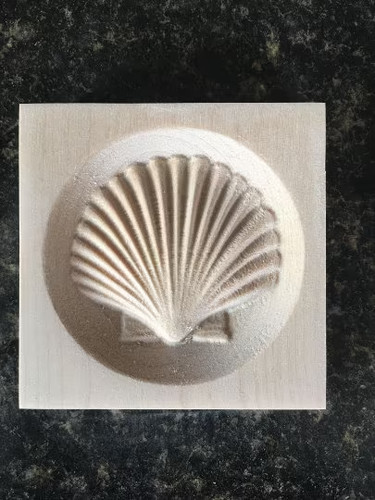 Scalloped sea shell - scalloped,