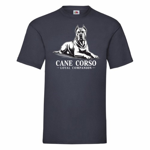 Cane corso loyal companion - cane,
