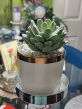 White Gold Ceramic Cylinder Cactus Planter Pot Decorative Garden Flower Holder