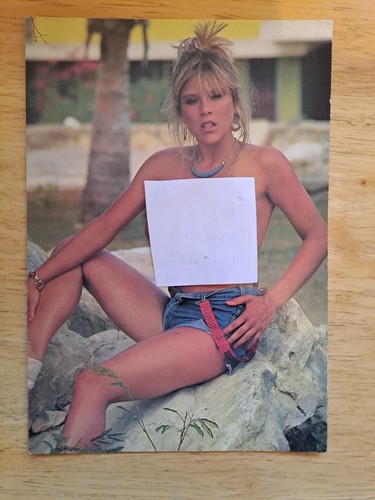 Sam fox vintage 80s - sam,