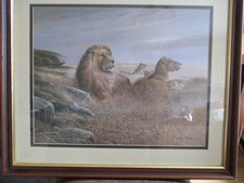Ruane Manning Large Lion Print