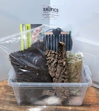 Complete African Land Snail