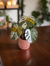Monstera Coaster Set with 6