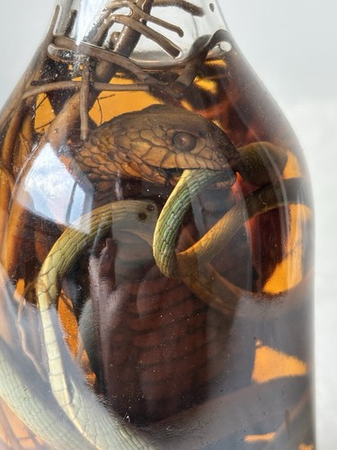 Vintage cobra snake with - cobra,