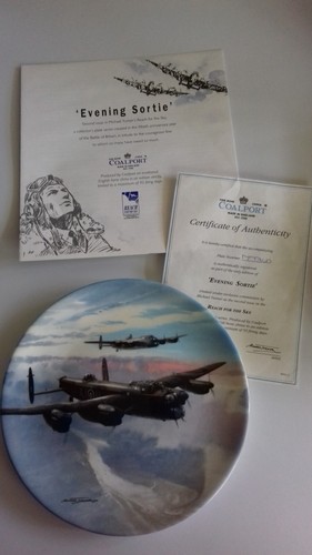 Coalport war plane plate - coalport,