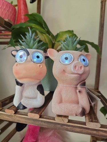 Pig and cow solar - pig, resin