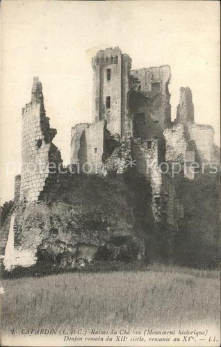 Lavardin loir cher ruines - loir-et-cher,