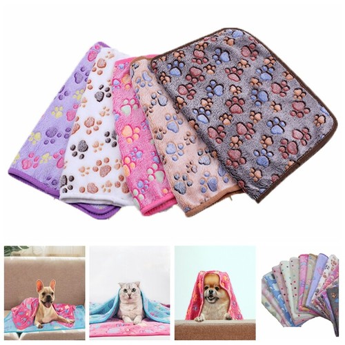 Pet animal cat dog - pet,