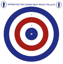 Bisley Grade 2 Paper Target